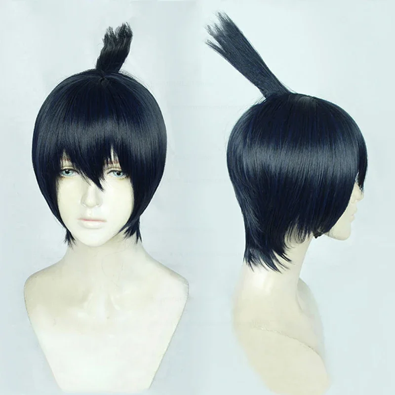 Hayakawa Aki Wig